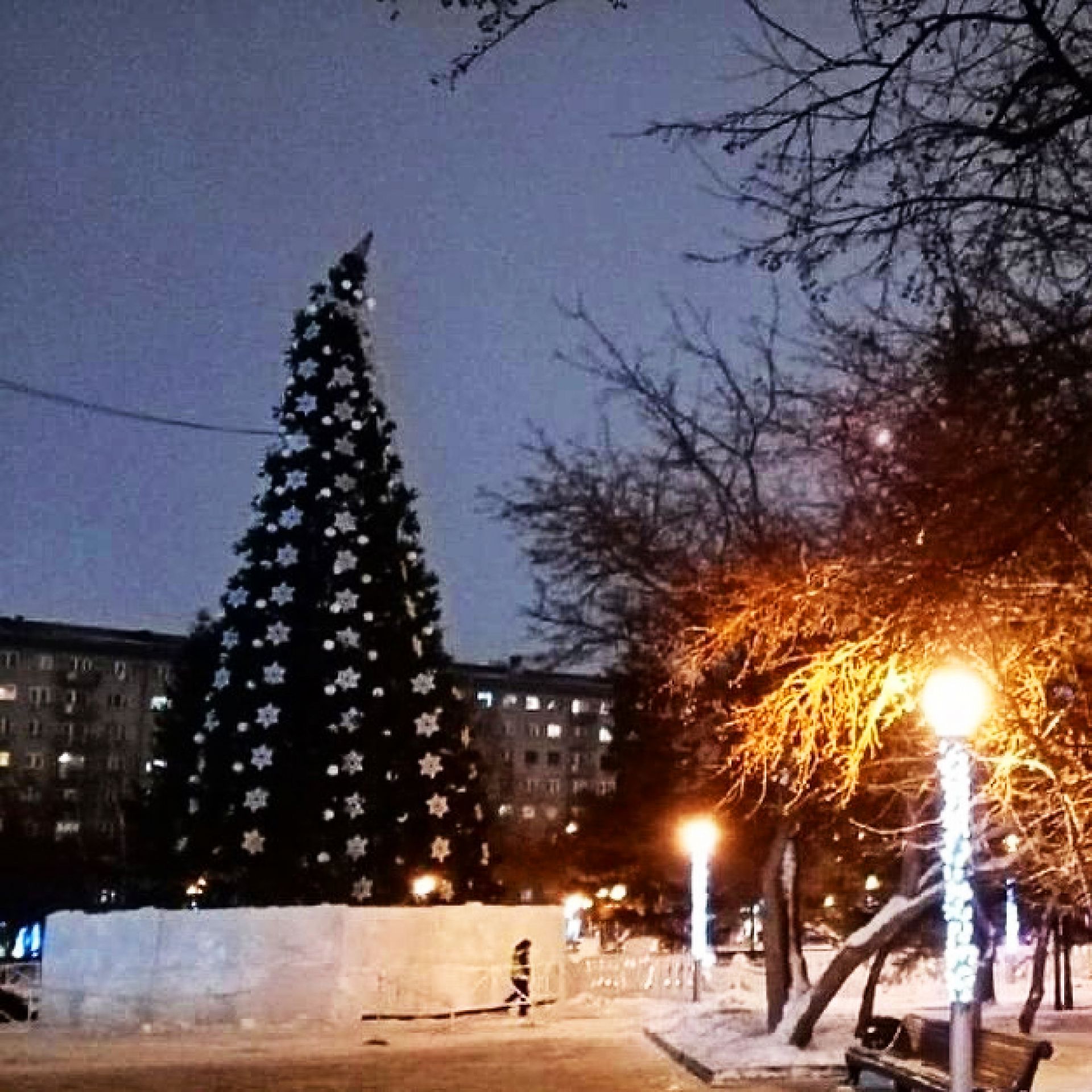 елка площадь ленина новосибирск